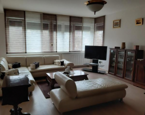 Apartman Karlo